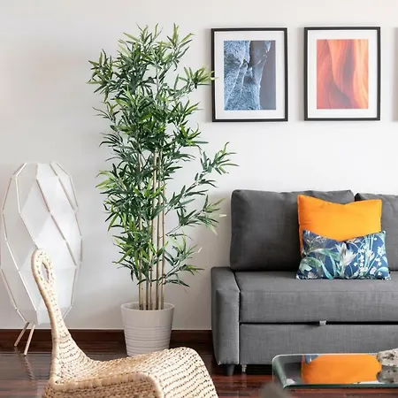 شقة Garajau Ii By An Island